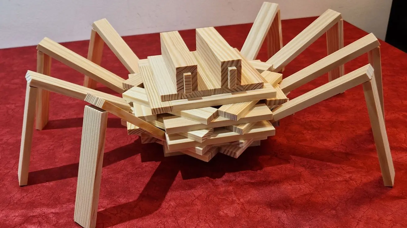 Kapla Spider kapla planks